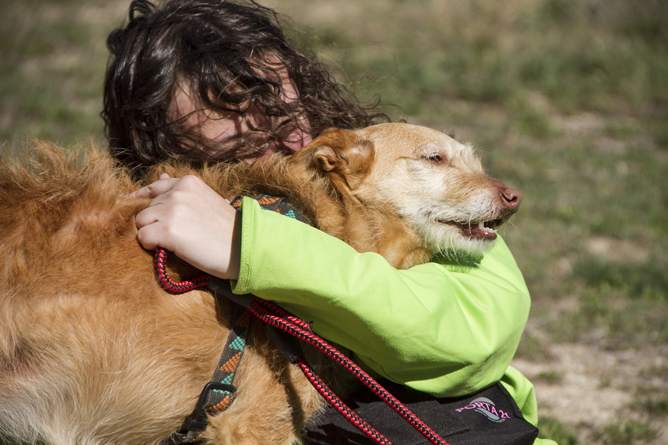 Kind umarmt einen Therapiehund des Projekts Greencare Junior